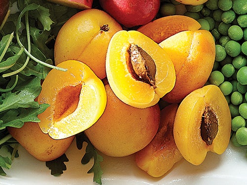 apricots