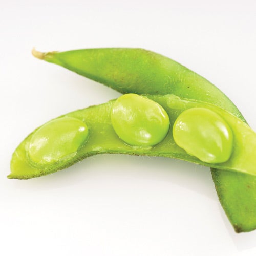 Soy Beans