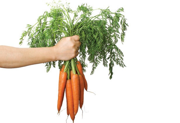 Handful Of Carrots Handful Of Carrots