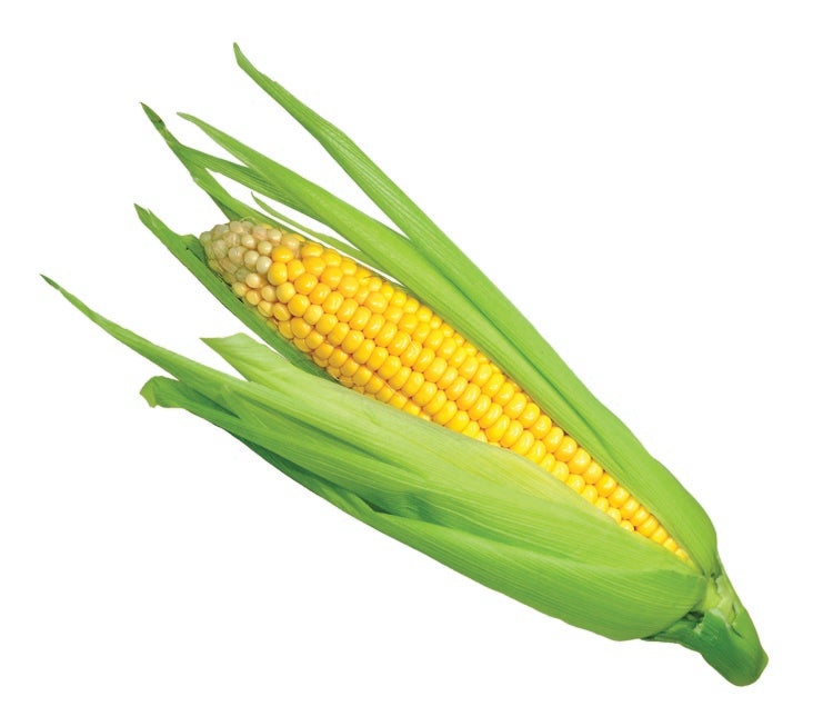corn