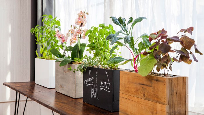 3-Pot-Windowsill_212