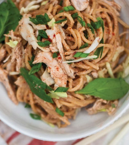 Warm Almond Butter Sauce Noodles with Chicken image None