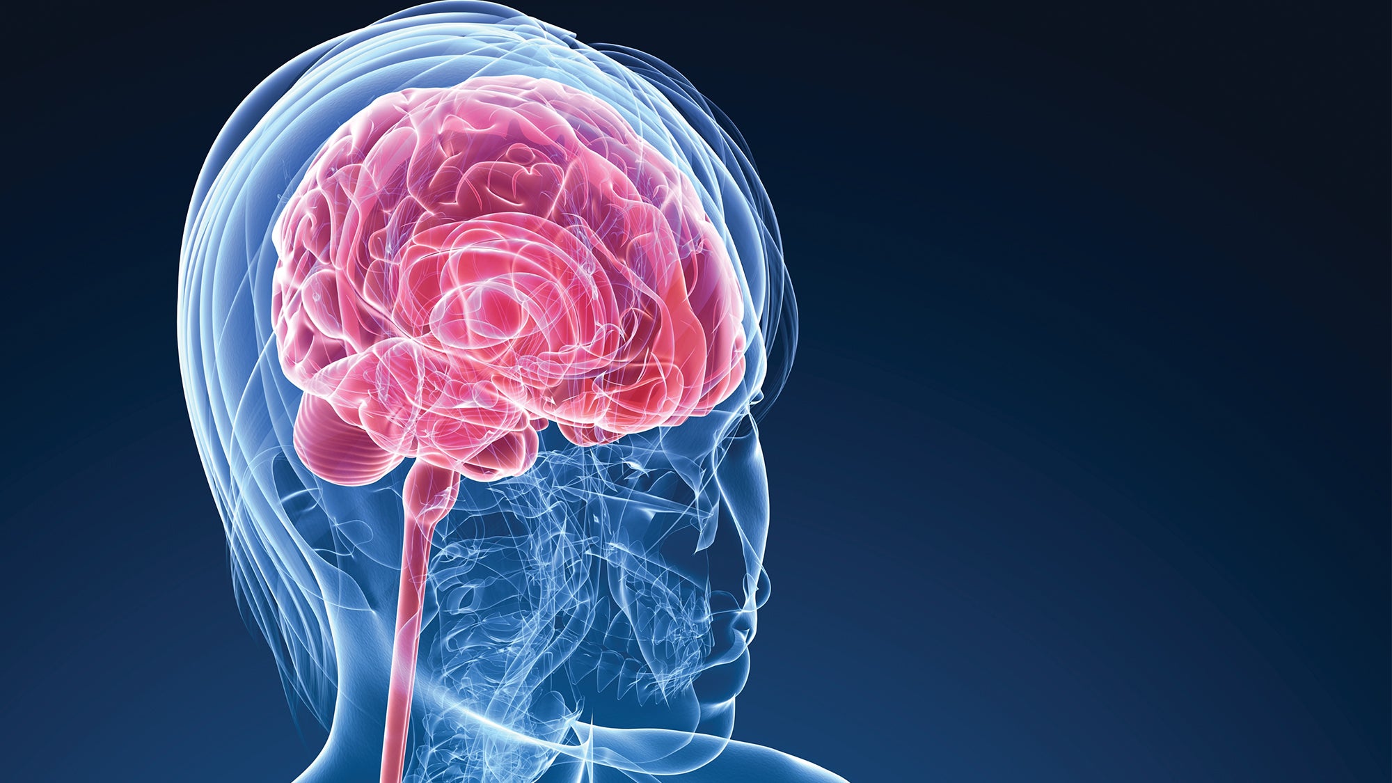 Complements 9 Amazing Brain Boosters