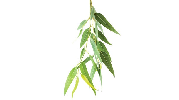 shutterstock_223056100