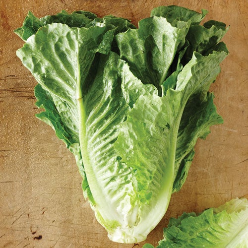 Romain Lettuce Recipes Cooking with Romain Lettuce