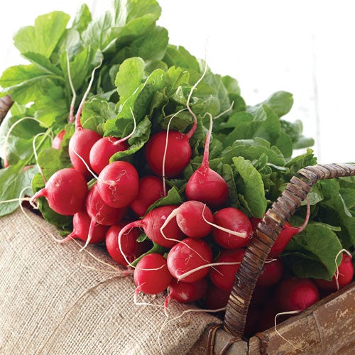 Radish Recipes How to Cook with Radishes