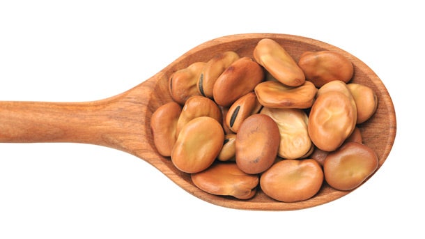 fava-beans