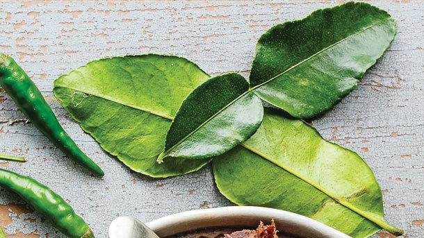 lime-leaf
