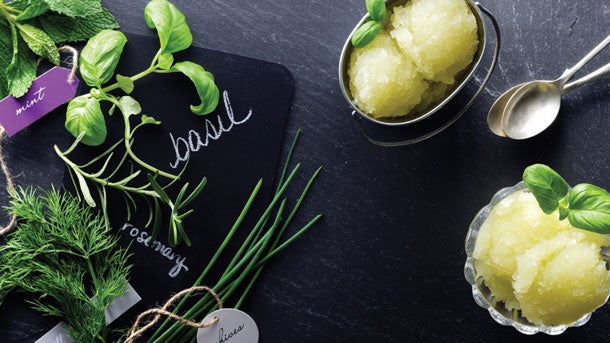 Basil Lime Sorbet