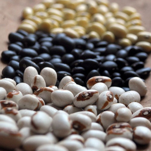 3 Ways with Heirloom Dry Beans