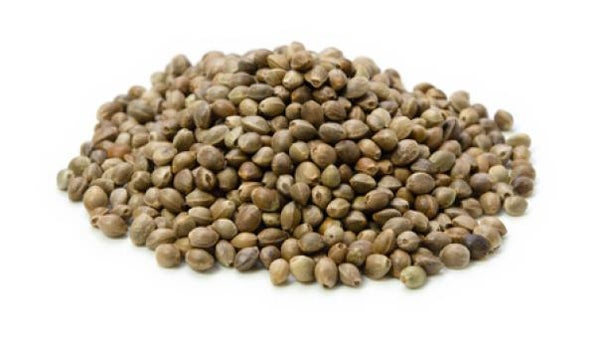 HempseedsPREZfxd