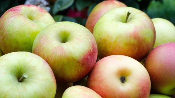 Apples610x343
