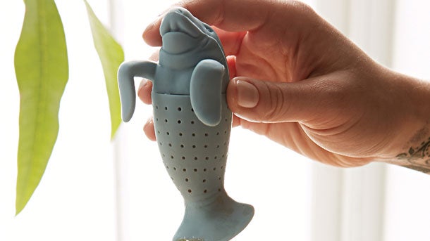 holiday gift idea manatea