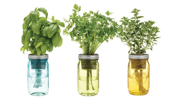 Indoor Herb Garden Indoor Herb Garden