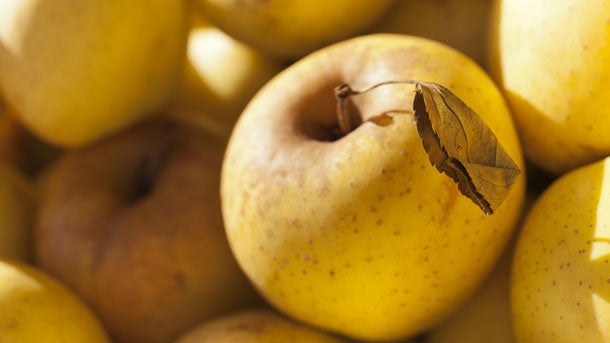 crispin-apples