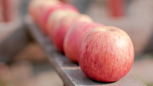 fuji-apples