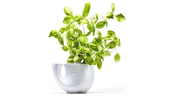 Eleplanter Eleplanter