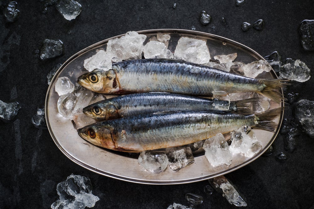 Sustainable Seafood Guide