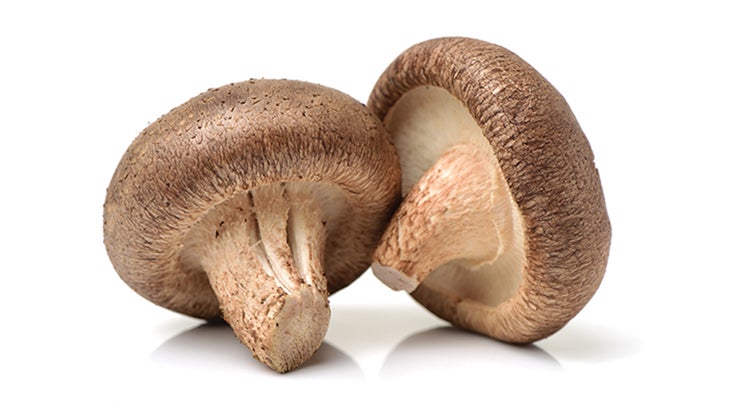 BNB_Shitake_JIANG-HONGYAN_78-WEB Shitake mushroom
