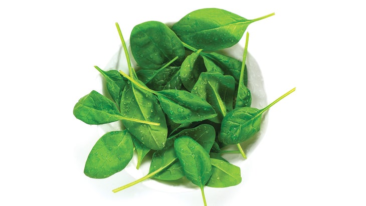 Cognitive-Foods_Spinach_siagor_78-WEB Spinach