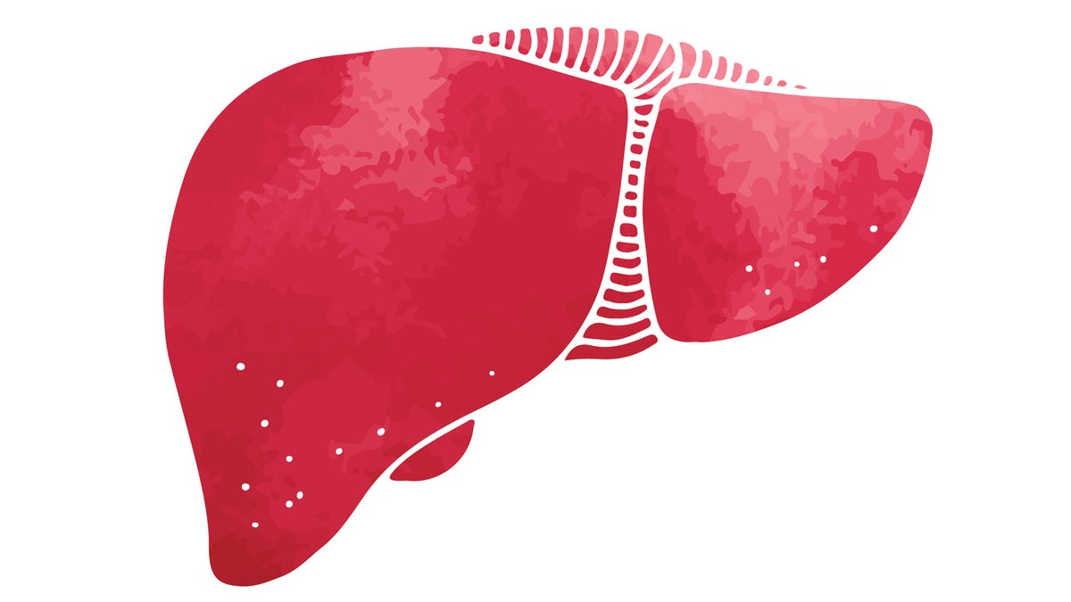 What’s Your Liver Got to Do with Losing Weight? Only Everything!