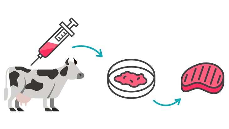 KATE_Lab-Meat-Infographic_86-web Lab grown meat infographic