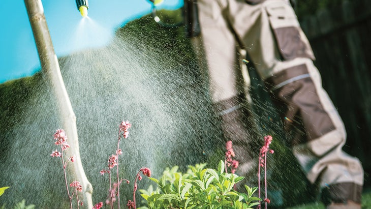 KATE_Natural-Pest-Repellent-Inset_welcomia_90-web Natural pest repellent