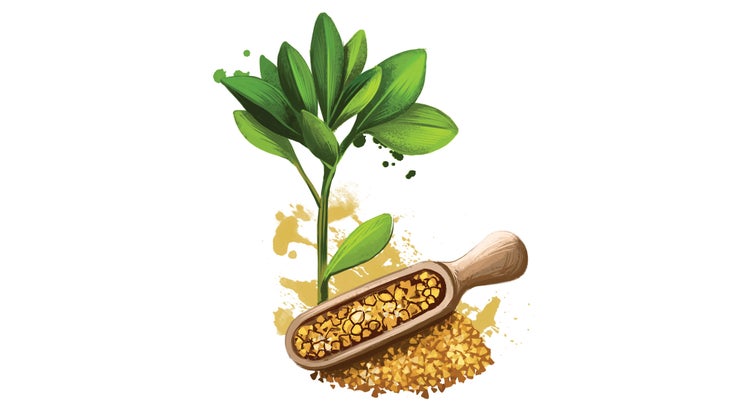 Complements-Inset-Fenugreek_91 Fenugreek