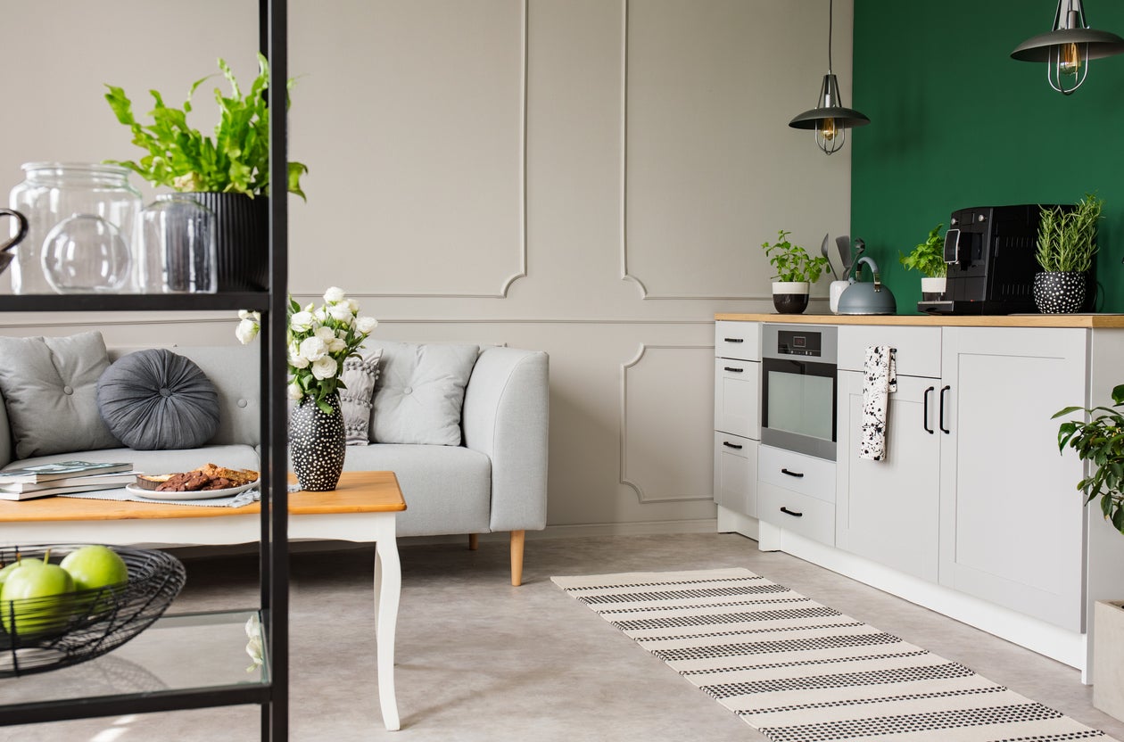 Empty green wall with copy space in elegant kitchen with white furniture,plants and coffee machine in stylish small apartment with grey couch