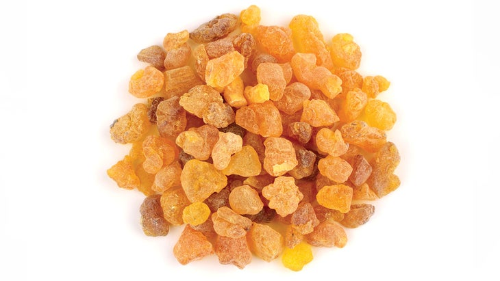 Complements-Boswellia_94-web Boswellia