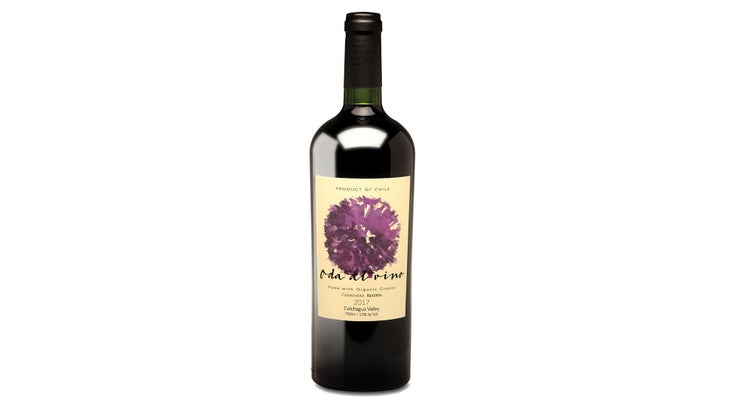 Bottle of wine