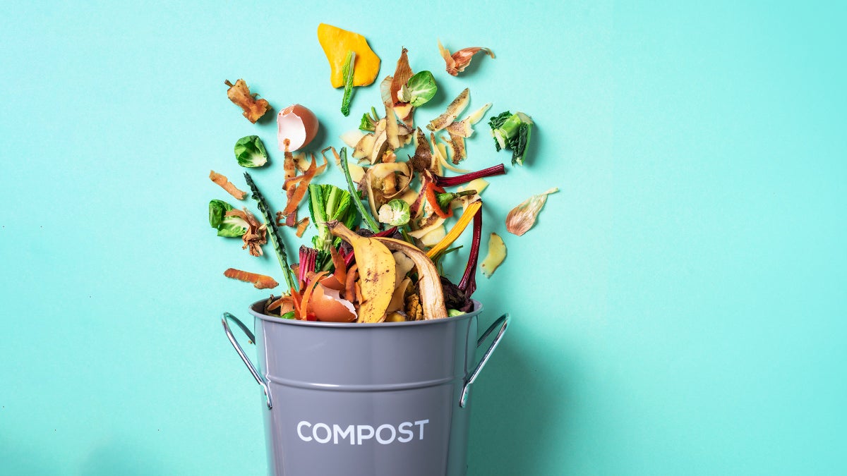 A Beginner’s Guide to Composting