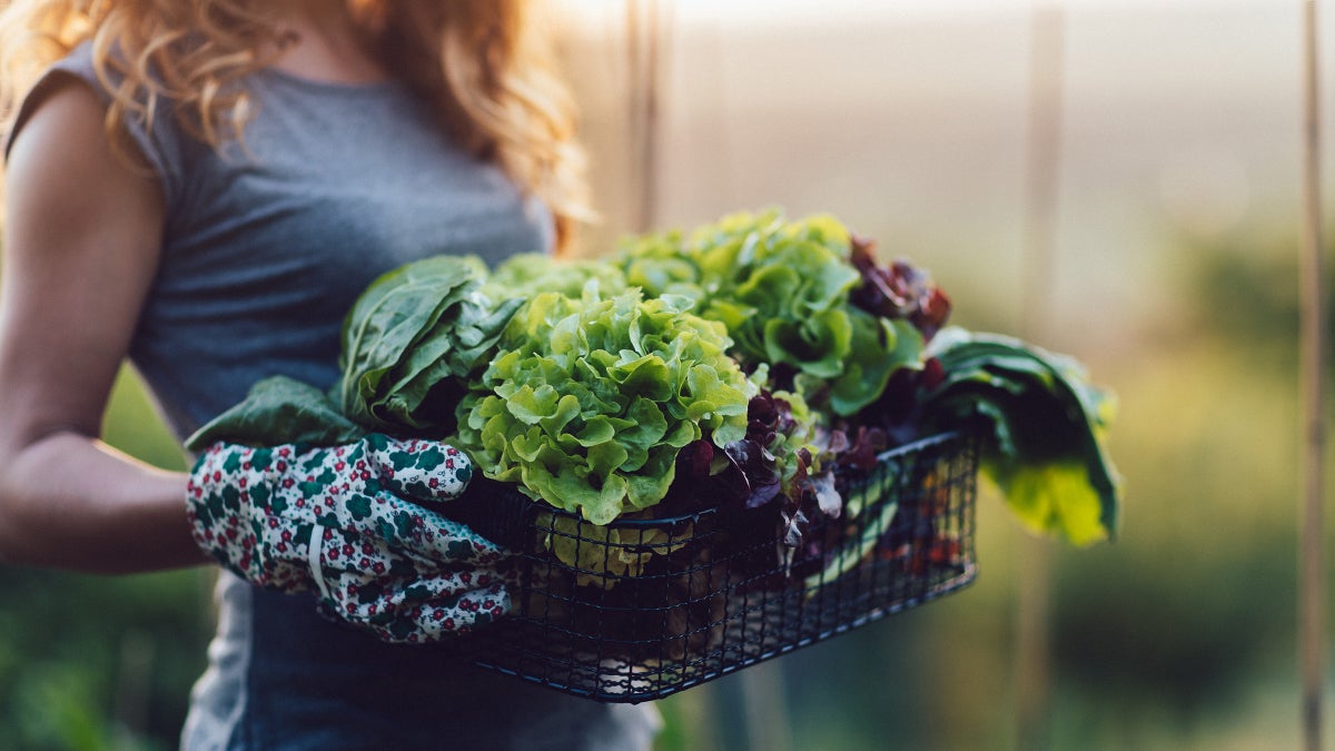 Build Stronger Muscles By Eating More Greens Clean Eating