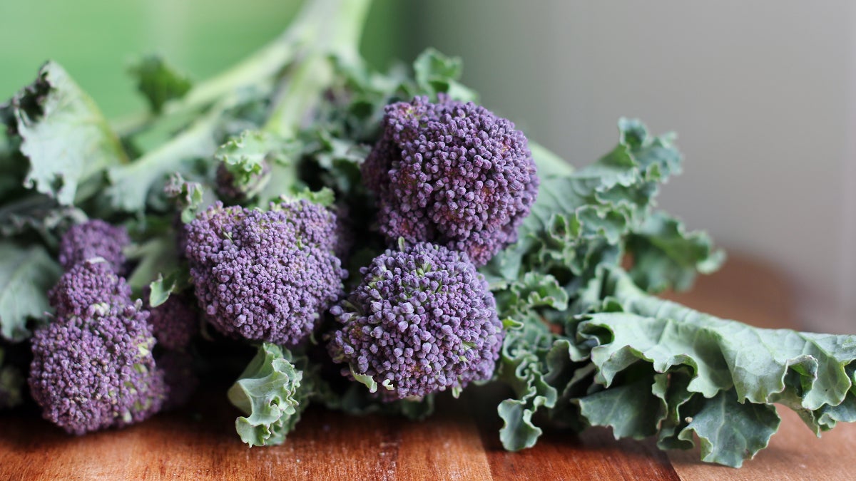 Meet the New Superfood on the Block: Purple Sprouting Broccoli