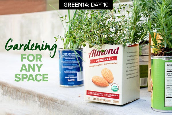 Day 10 of the Green14 Challenge