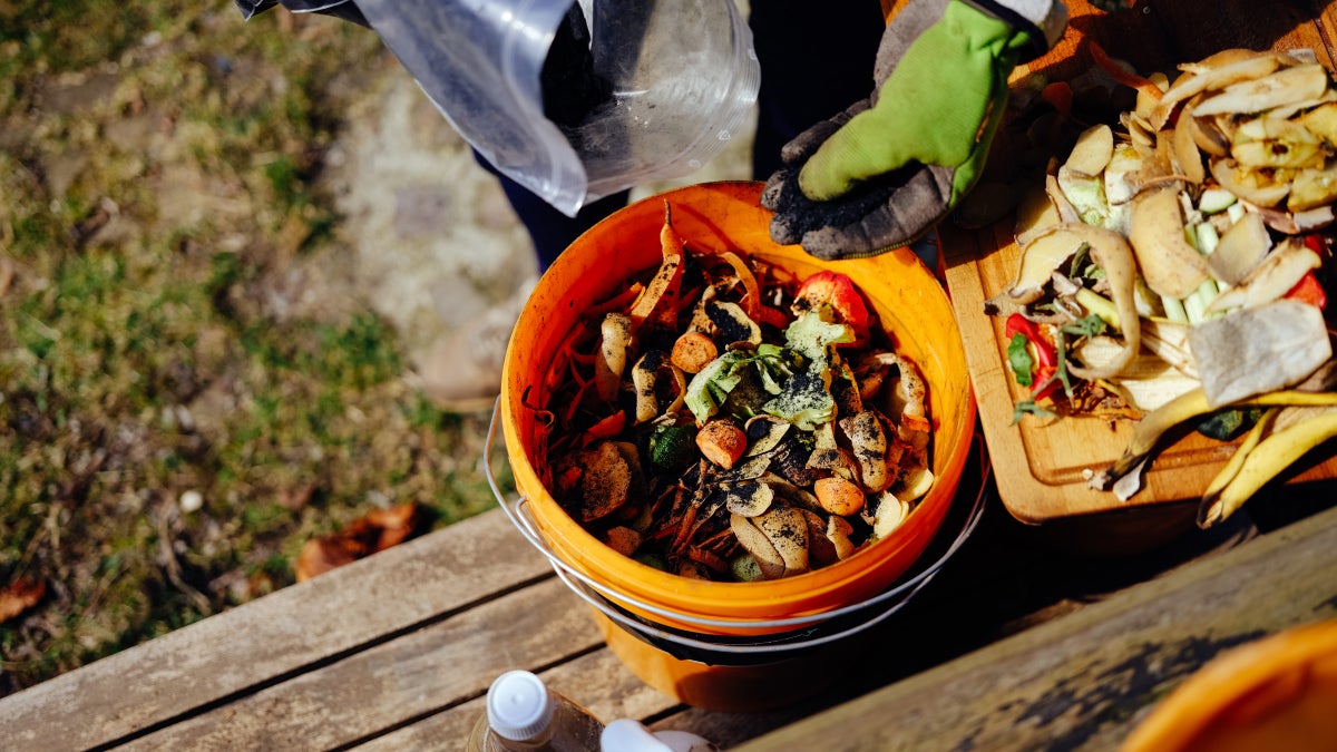 Why Fermented Foods Are So Great for Your Garden