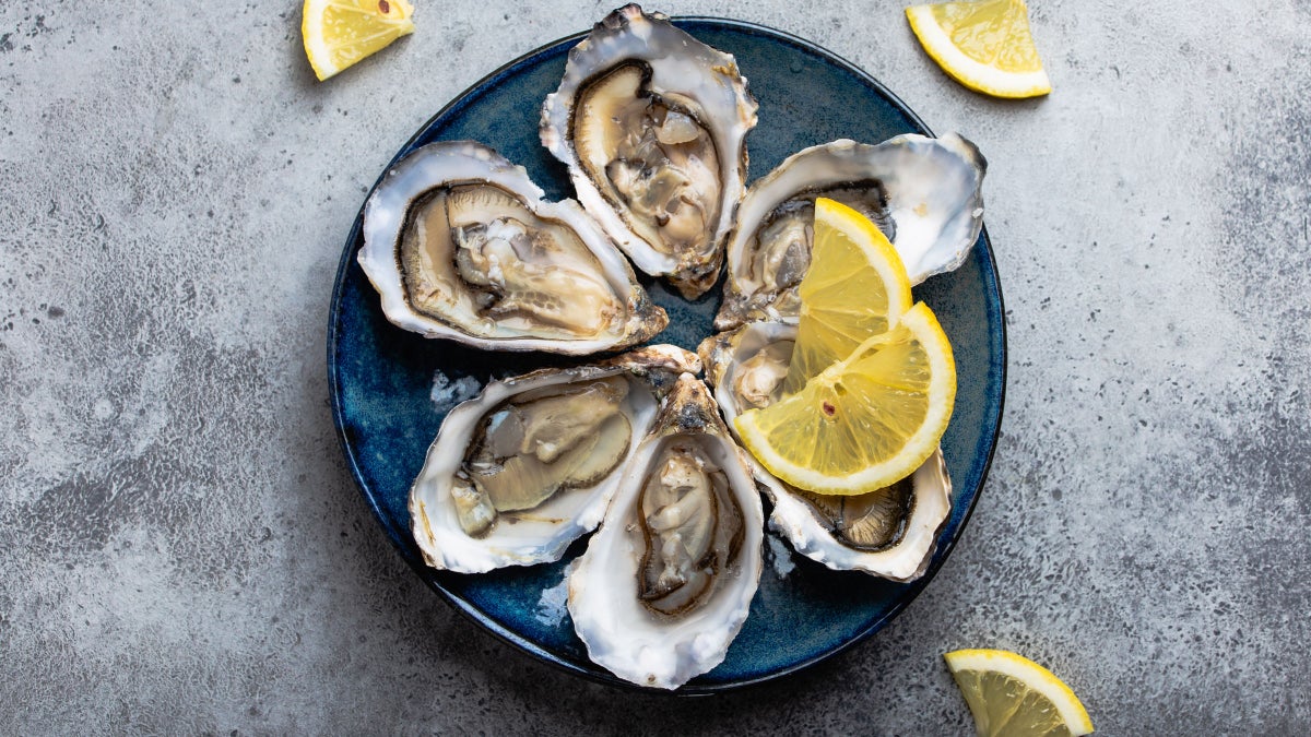 Oysters: A Sustainability Superstar