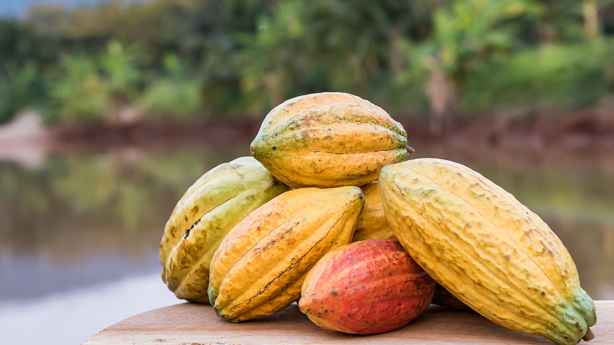Cacao Water: A Healthy Alternative to Sugary Sports Drinks