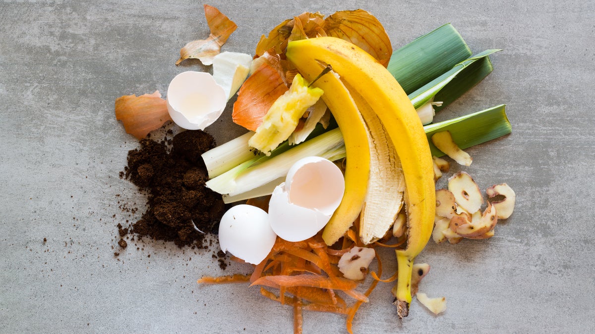 Use Food Scraps in Your Garden Without Composting Clean Eating
