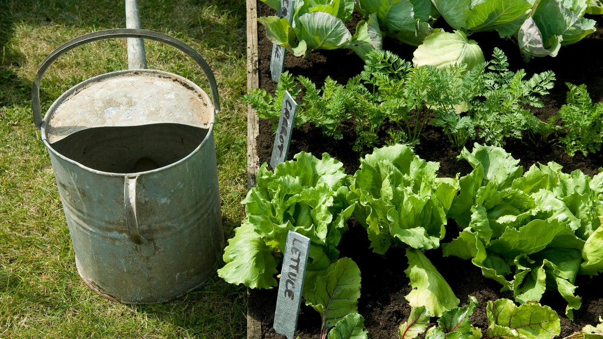Anyone Can Grow a Garden, In Any Space. Here's How