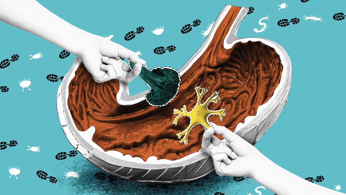 Heal Your Gut, Heal Your Mind