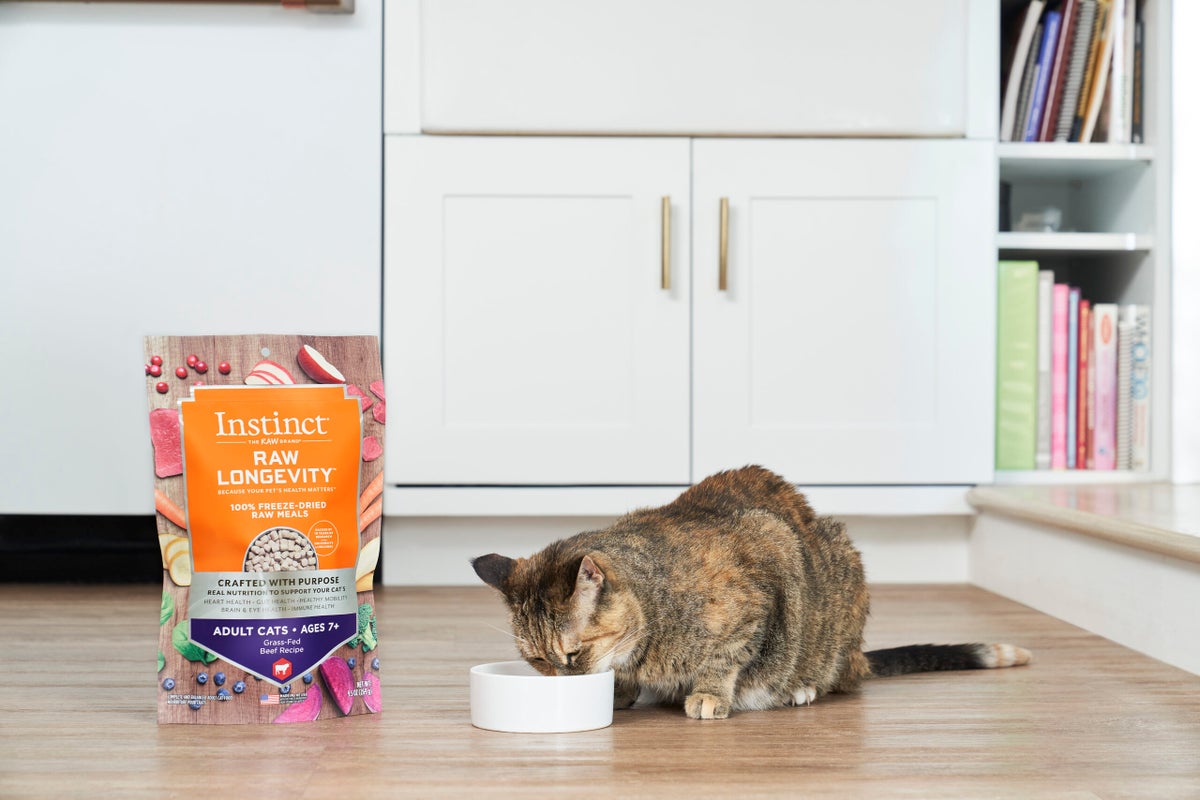 How to Feed a Picky Kitty Clean Eating