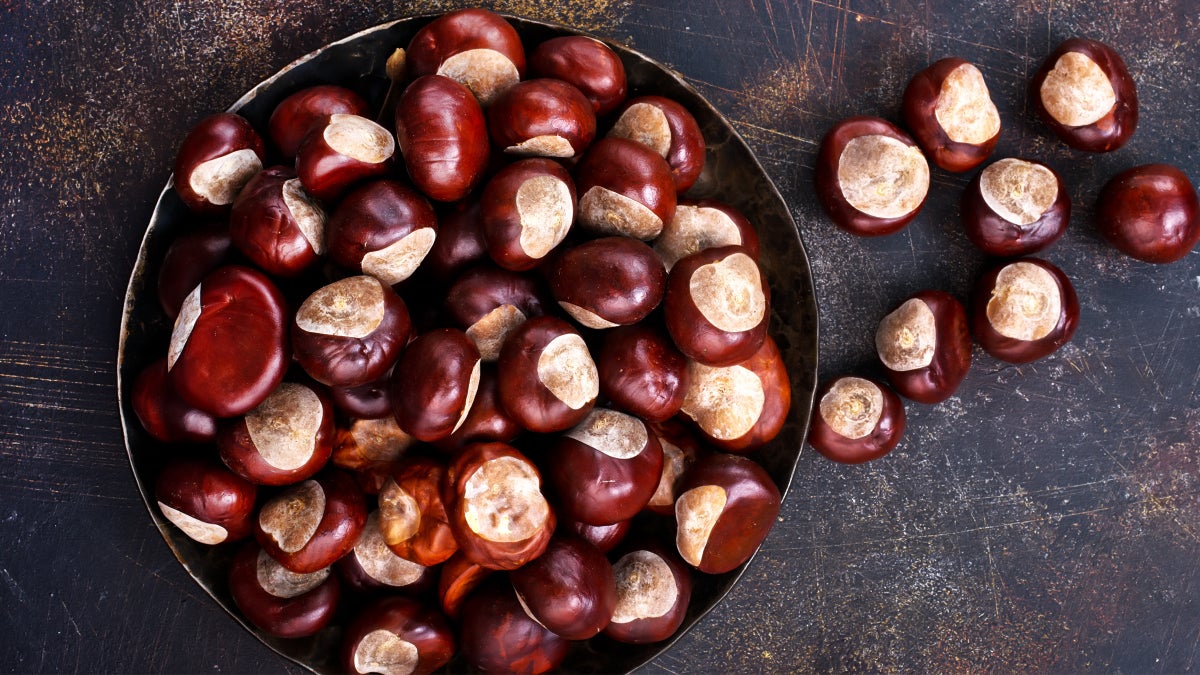 Get Those Chestnuts Roasting On the Open Fire! Why This Nut is a Nutrient-Packed Addition to Your Holiday Menu