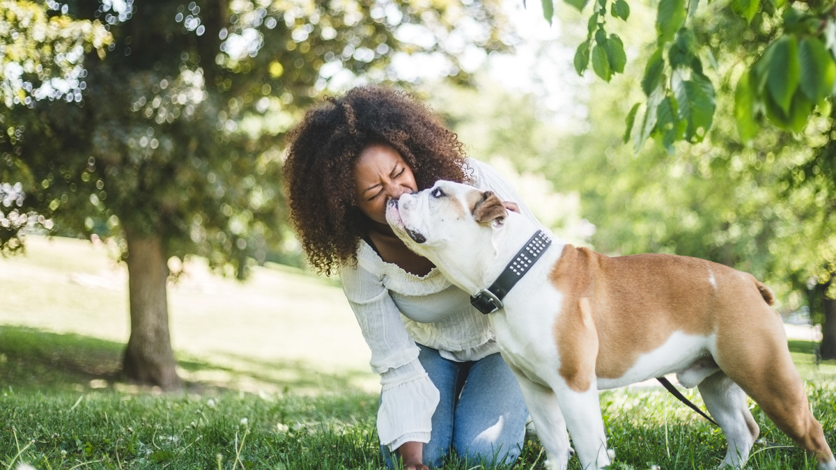 Upcharge Your Brain's Chemistry: 4 Feel-Good Neurotransmitters You Need Right Now