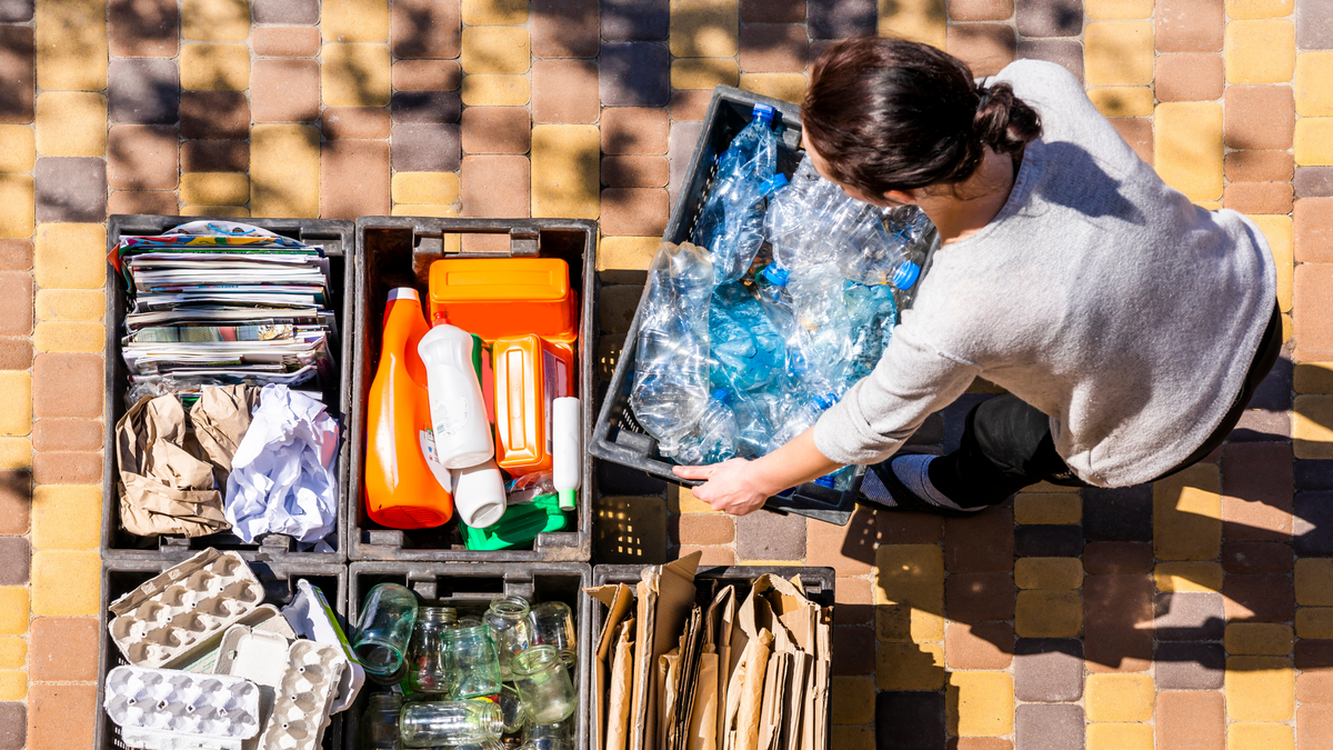 Sustainability Myths, Busted: We’re Debunking Common “Facts” About Living an Eco-Friendly Life