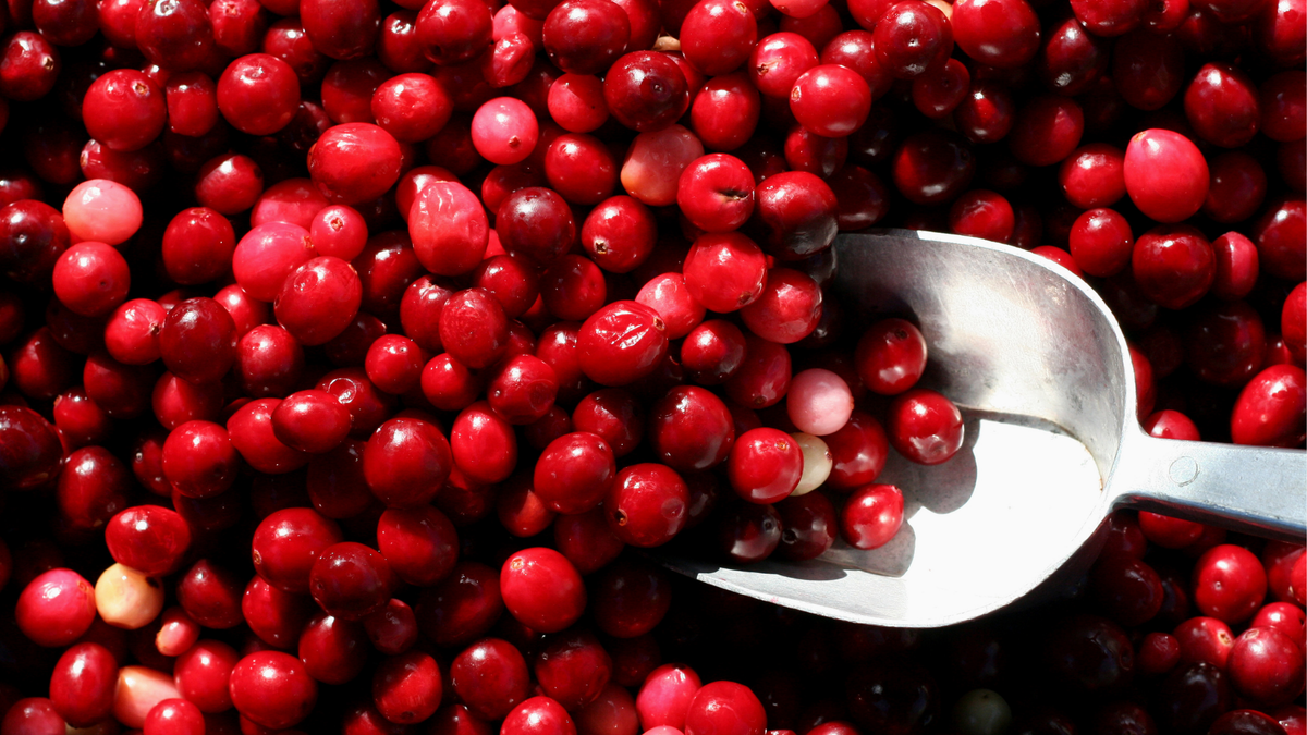 New Study Finds Cranberries May Benefit Heart Health