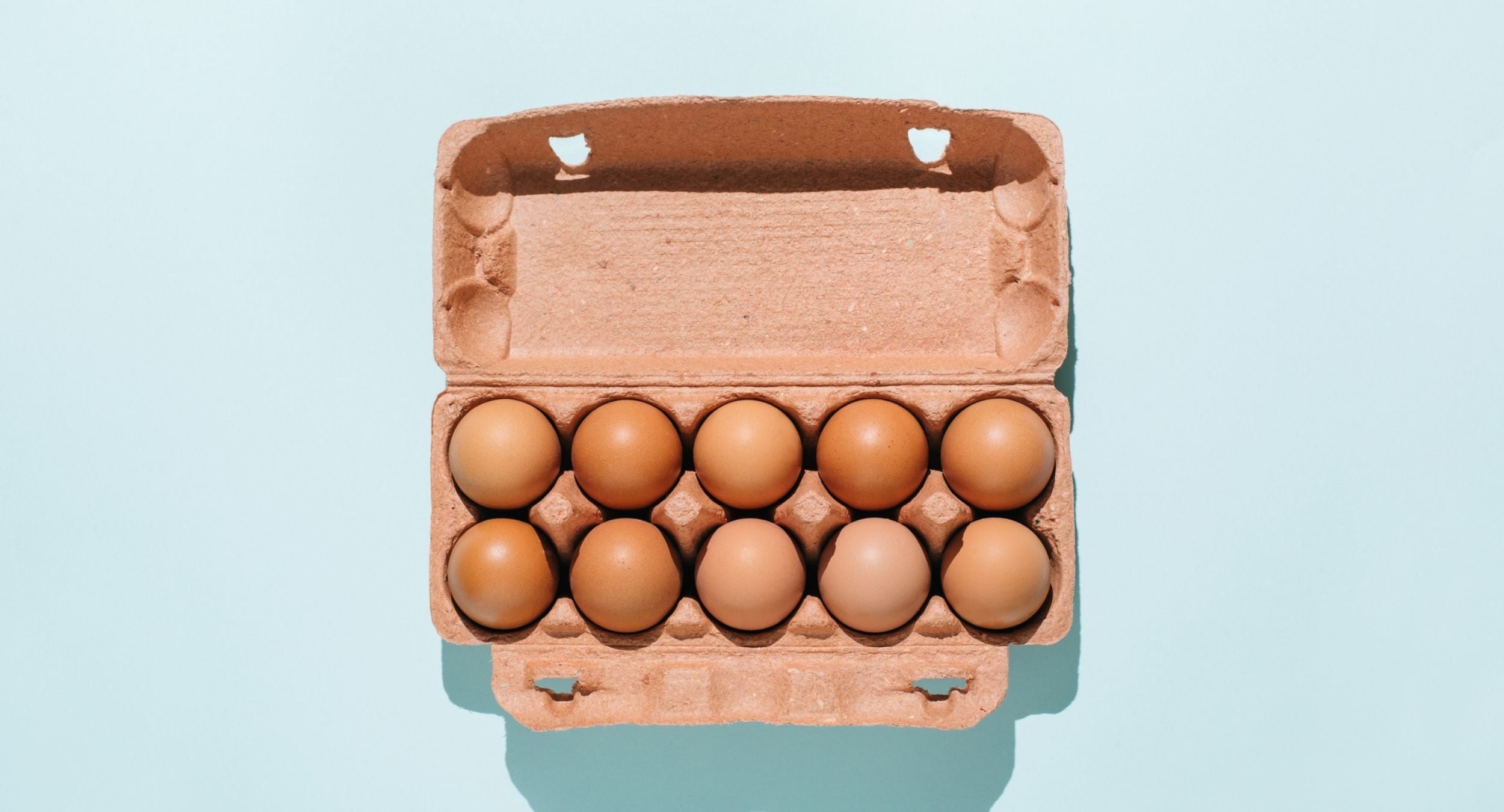Eggs in a carton