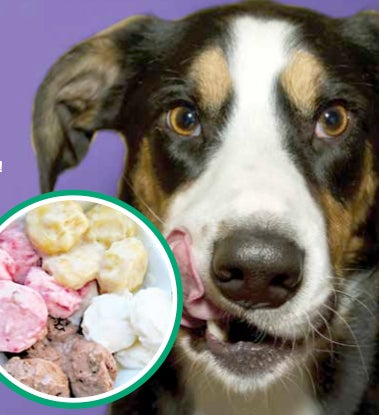 Fido Frozen Yogurt Fido Frozen Yogurt
