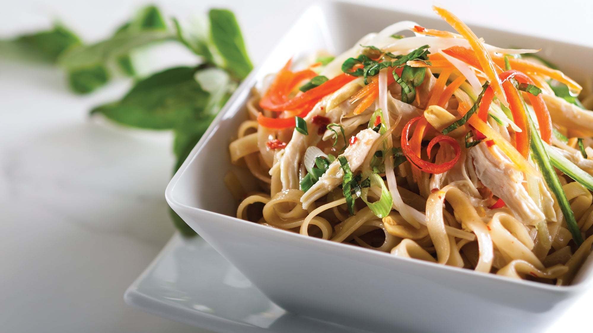 Summer Roll Inspired Noodle Bowl 51web None