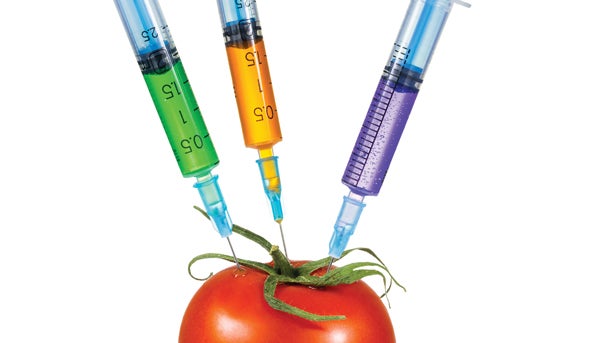roundup-ready
